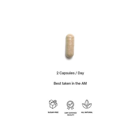 Focus - Cognitive Superpowers